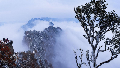 中審潤奧為沁陽市神農(nóng)山景區(qū)旅游基礎設施綜合提升（安全基礎設施提升）EPC項目提供招標代理服務